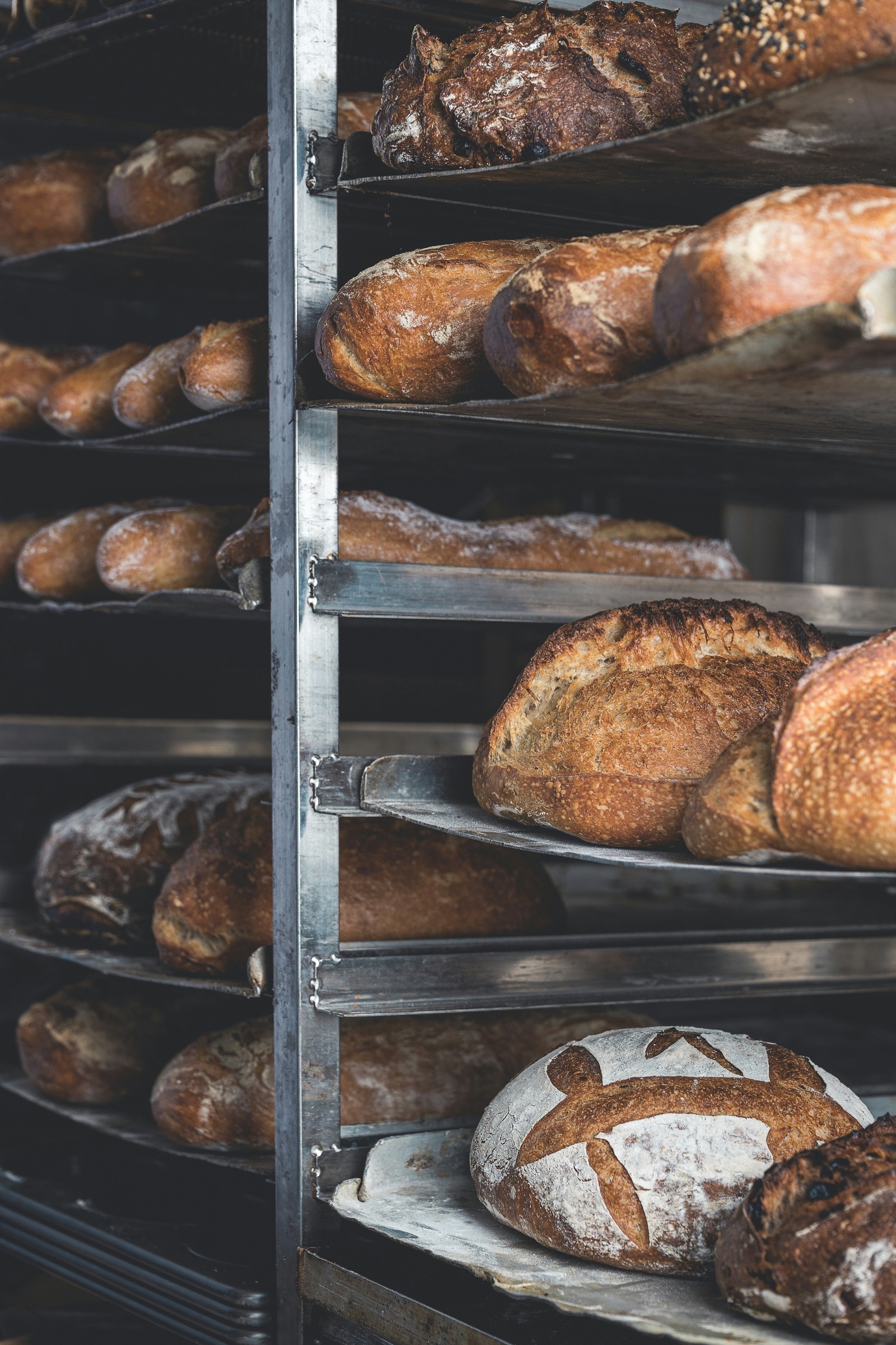 Fresh bakes