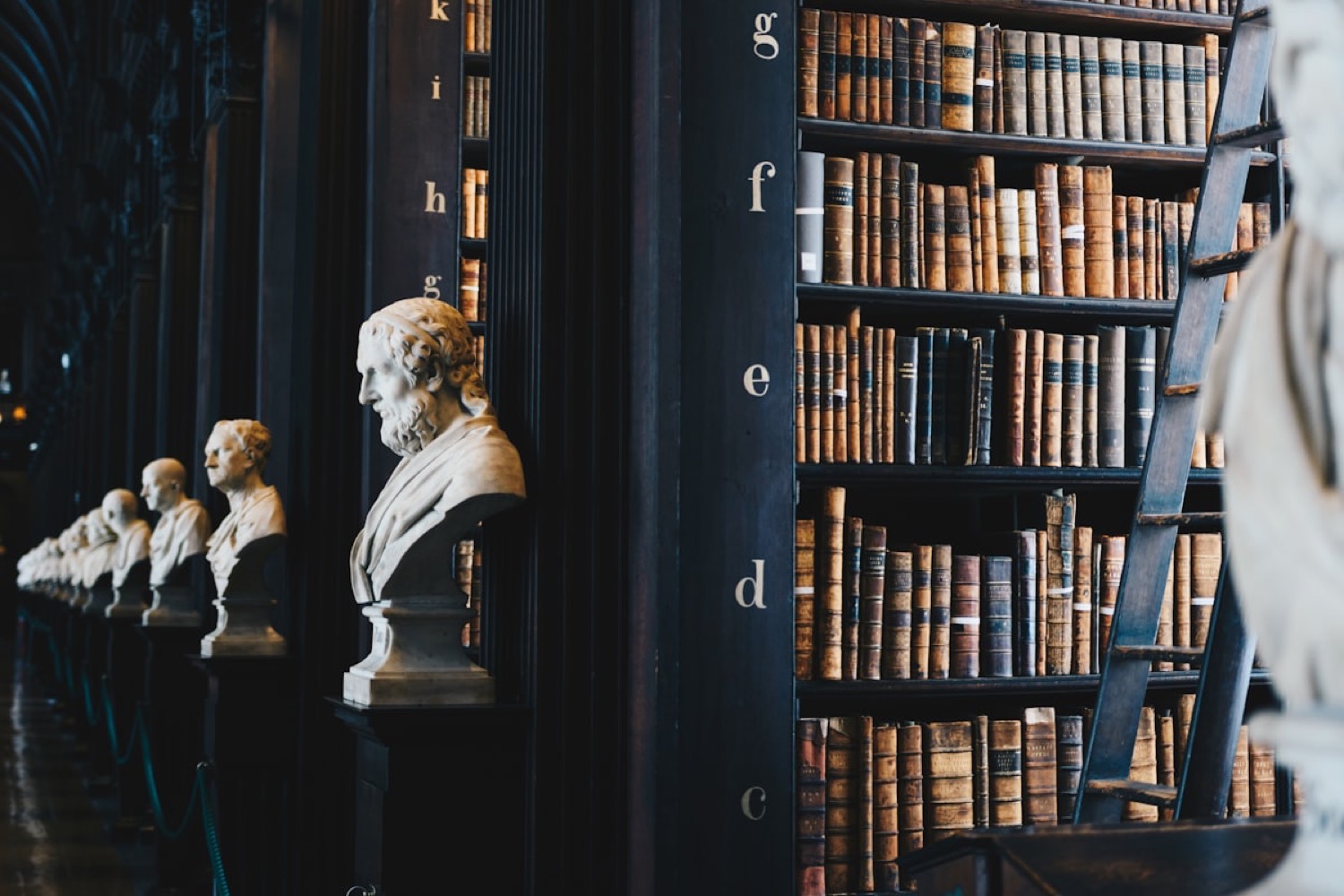 The firm's law library